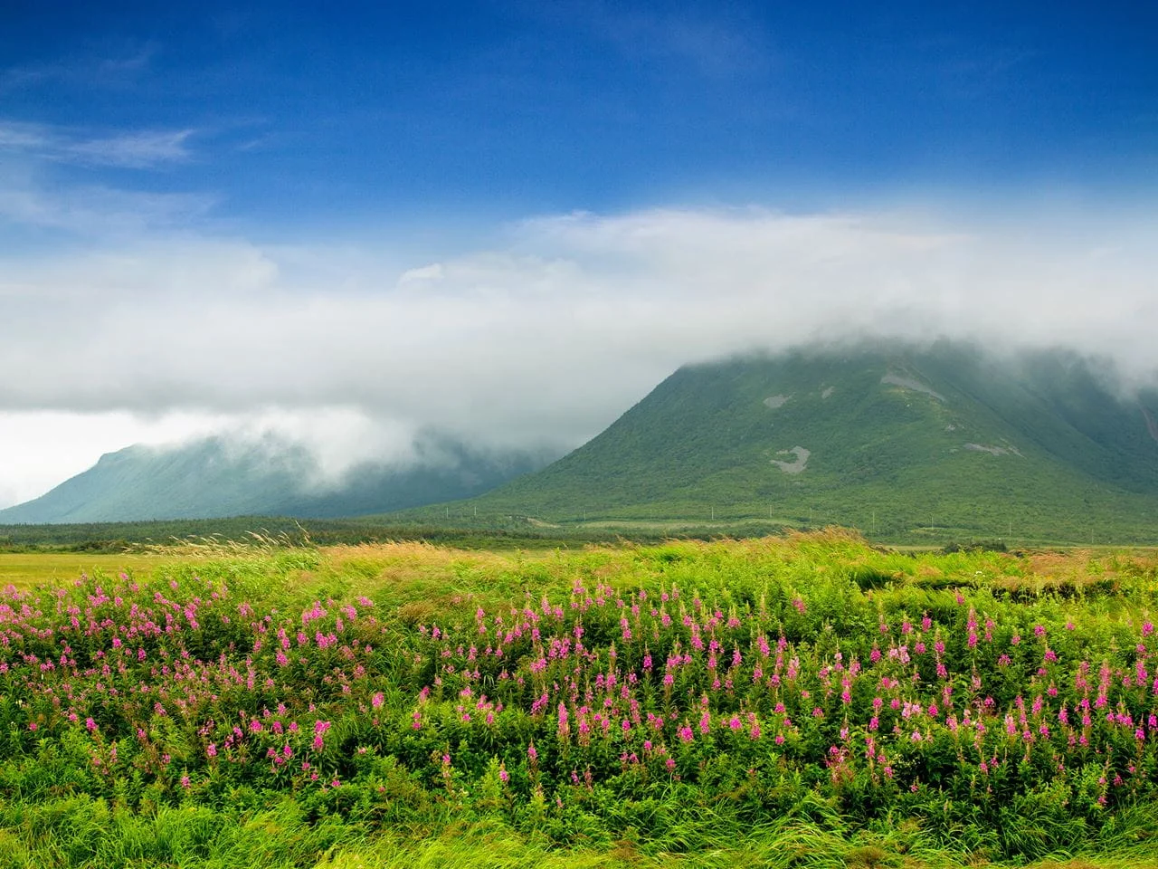 Saint John's Geography and Climate