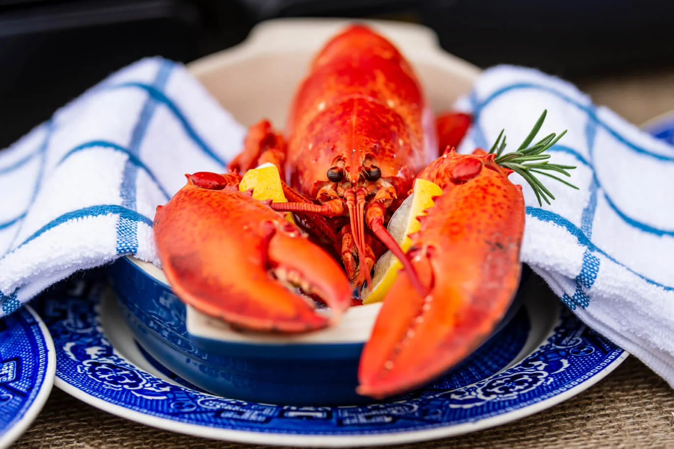 Saint John's Dining and Food Scene