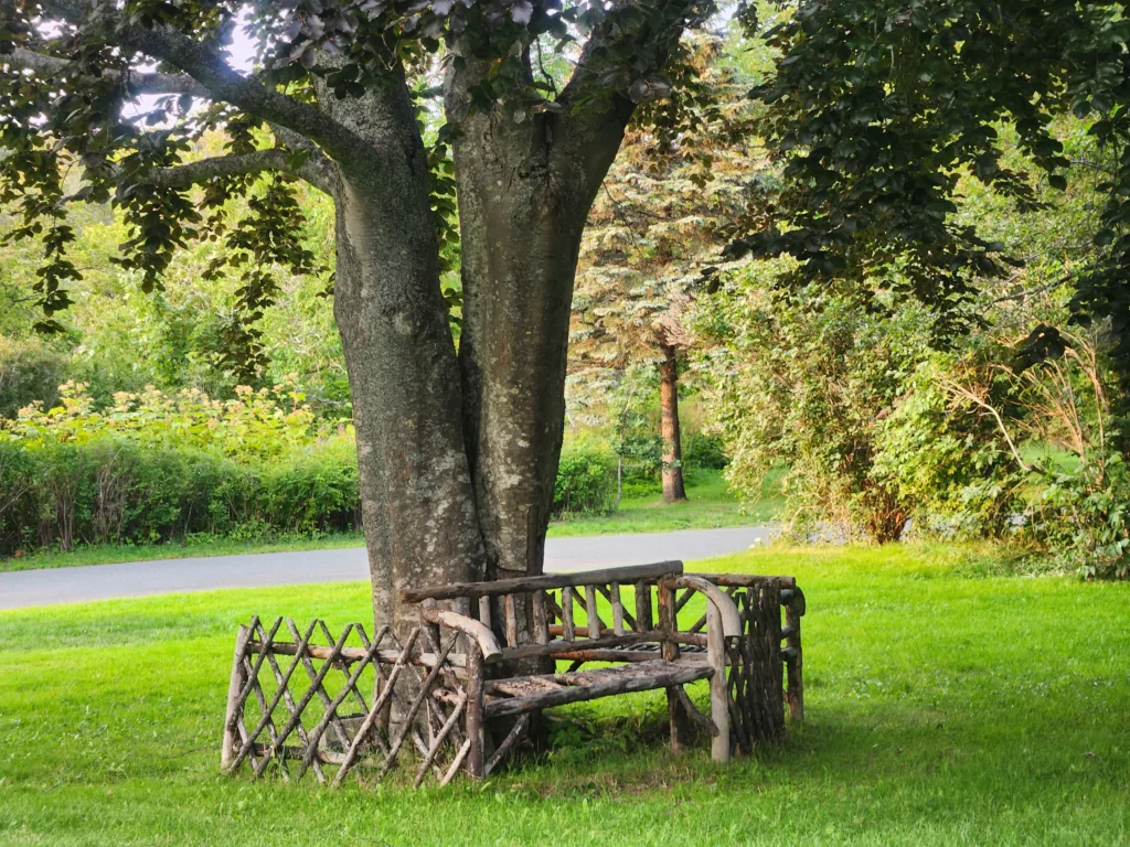 Saint John's Parks and Green Spaces