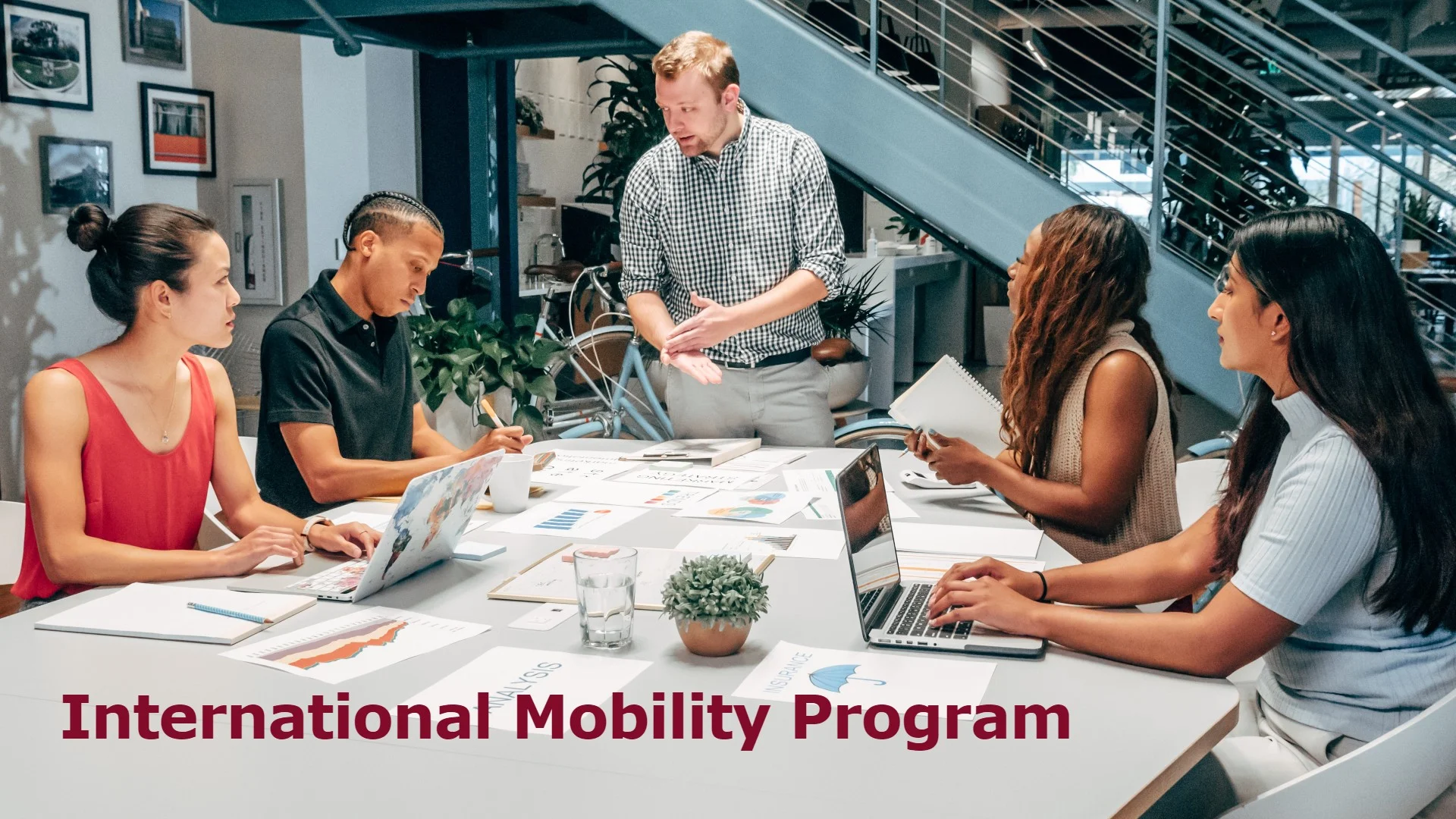 International Mobility Program